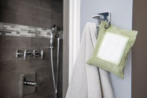 Natural Odor Absorber Deodorizer