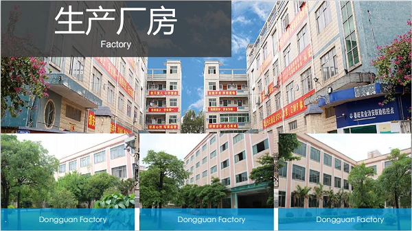 Dongguan Chunwangi kokkuvõtlik auditiaruanne 2020 (BSCI)